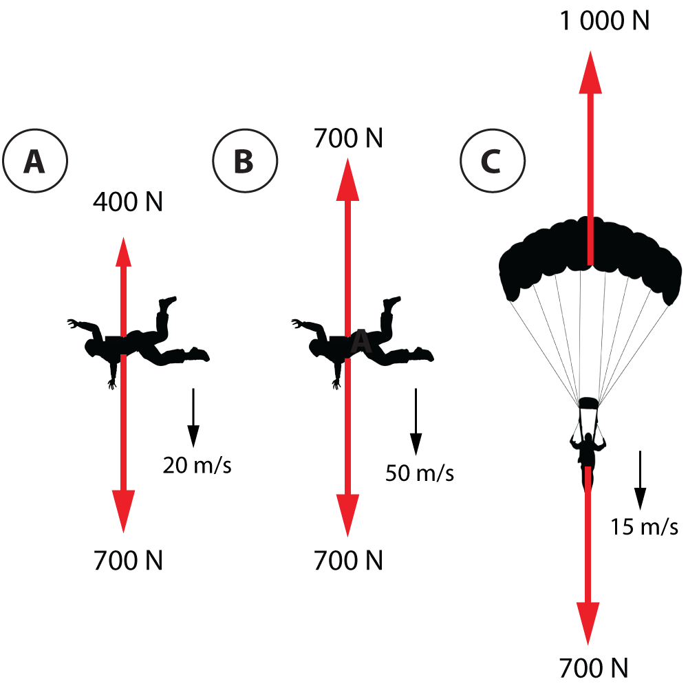 forces on a skydiver