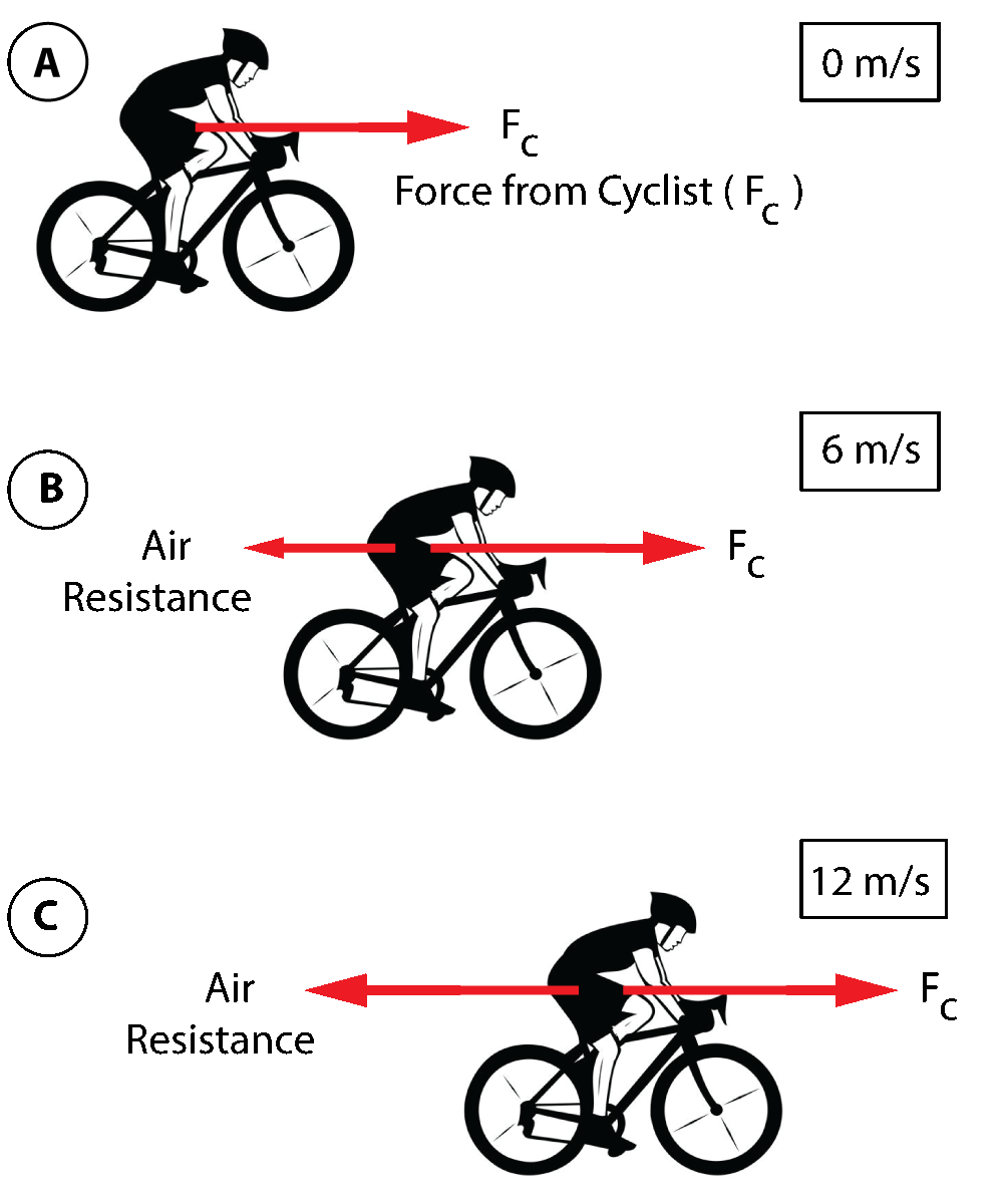 A cyclist reaching terninal velocity