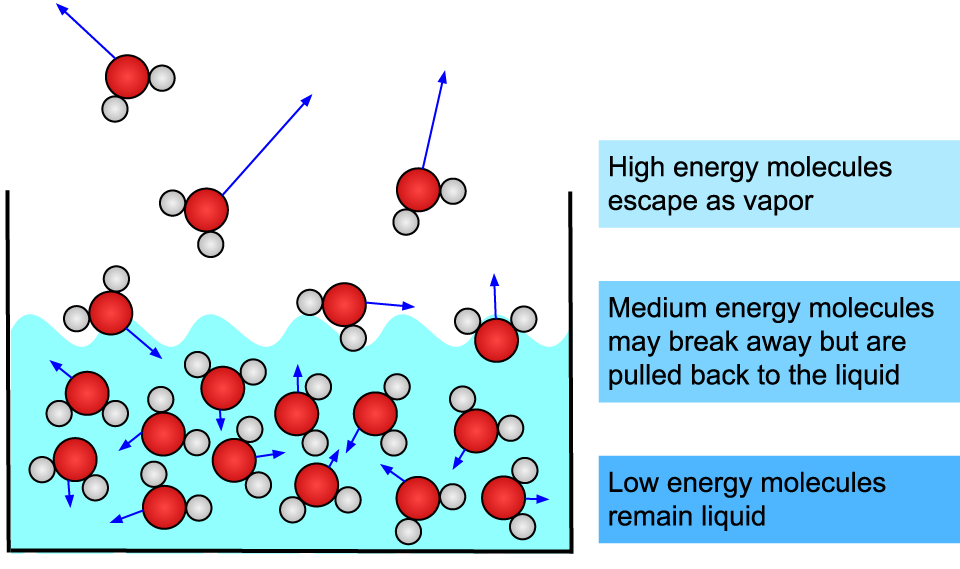 evaporation from water