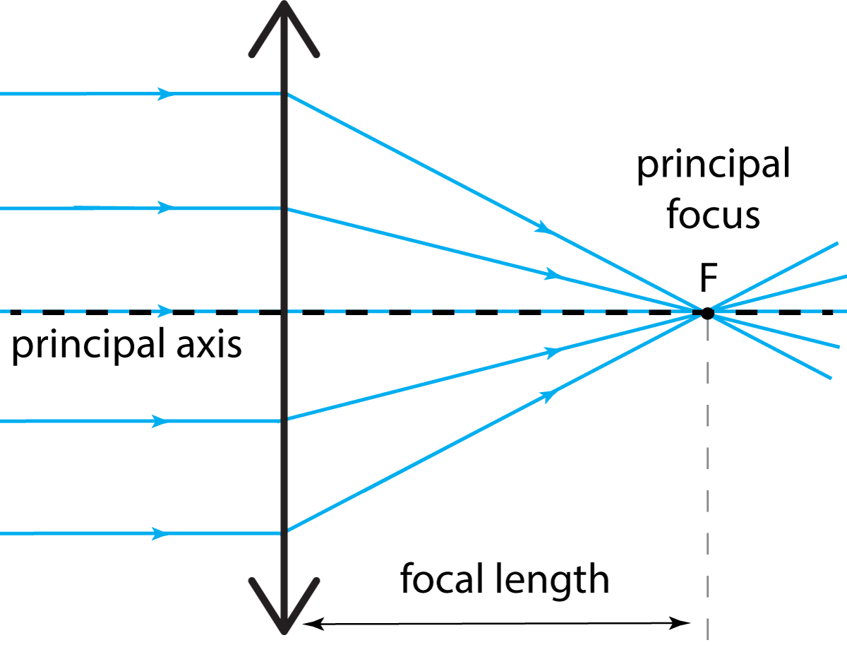 The principal focus of a convex lens