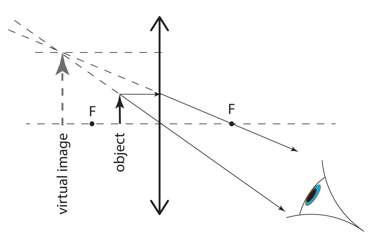 finding a virtual image using a ray diagram from a convex lens