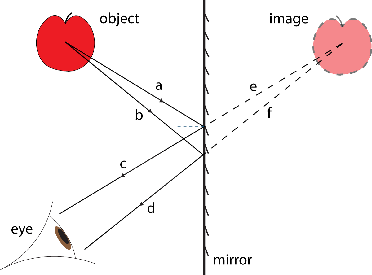 Mirror image of apple - construction lines