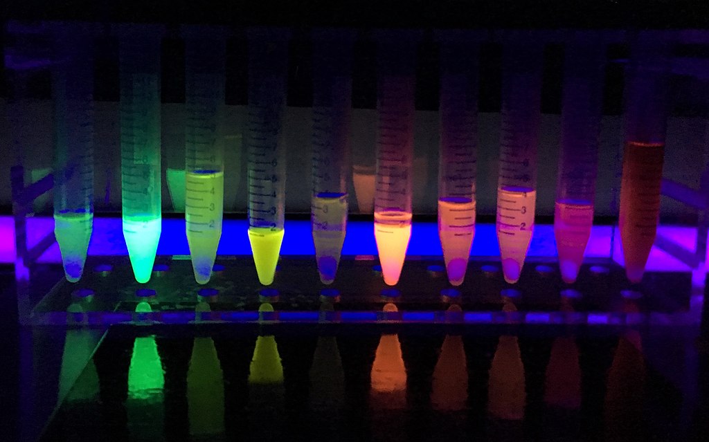 fluorescent proteins