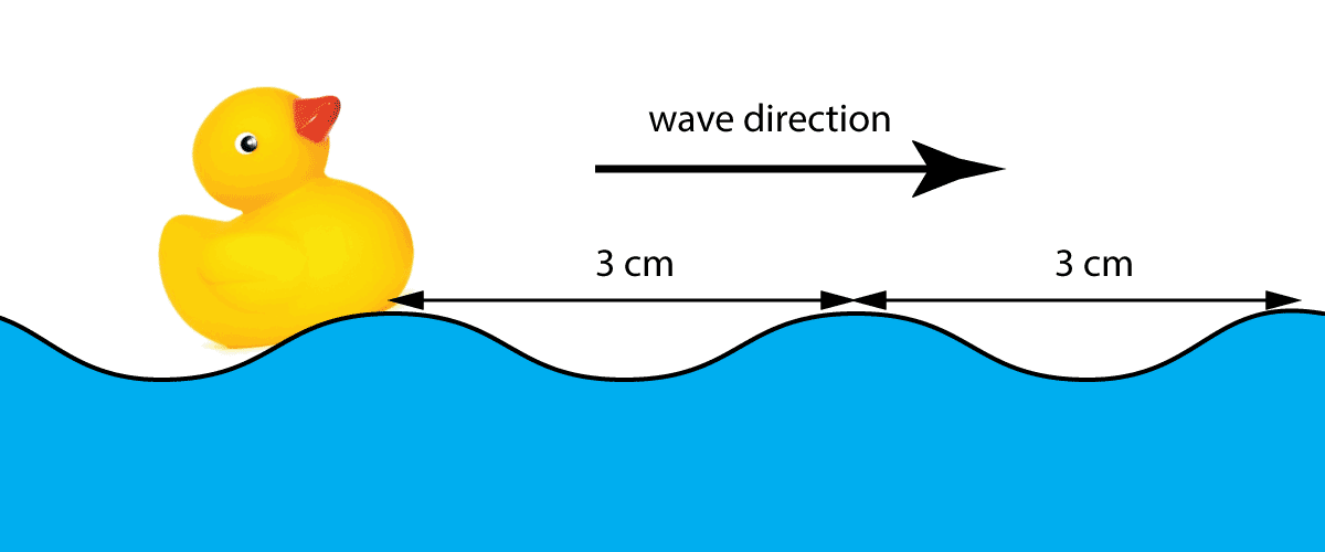 measuring water waves produced by a rubber duck