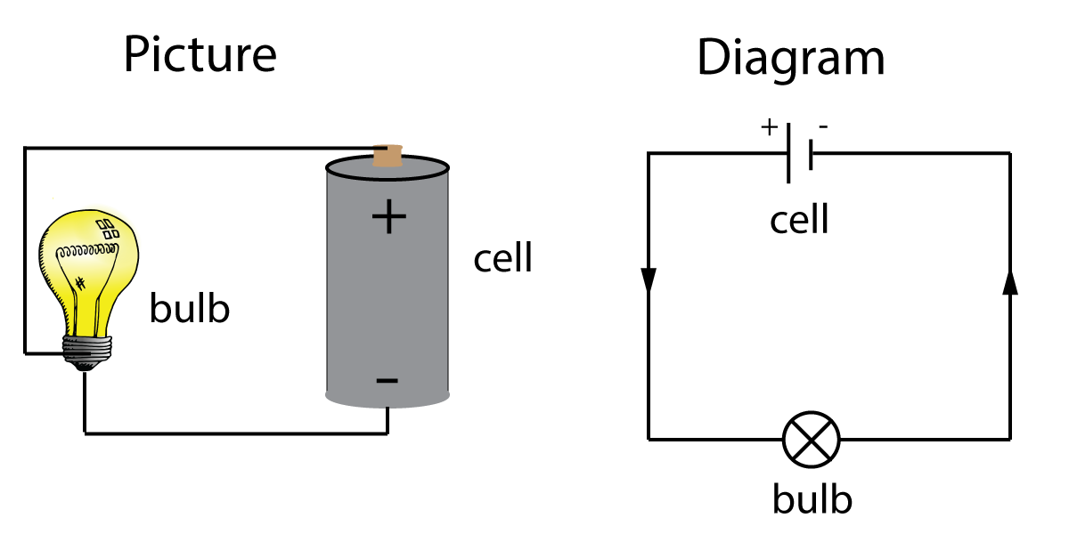 bulb and cell circuit