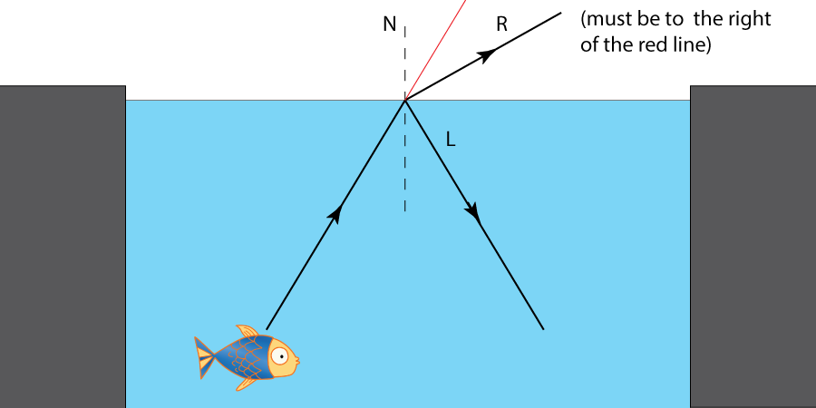 fish refraction question solution diagram